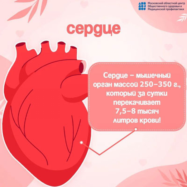 Неделя профилактики сердечно-сосудистых заболеваний